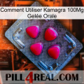 Comment Utiliser Kamagra 100Mg Gelée Orale 13